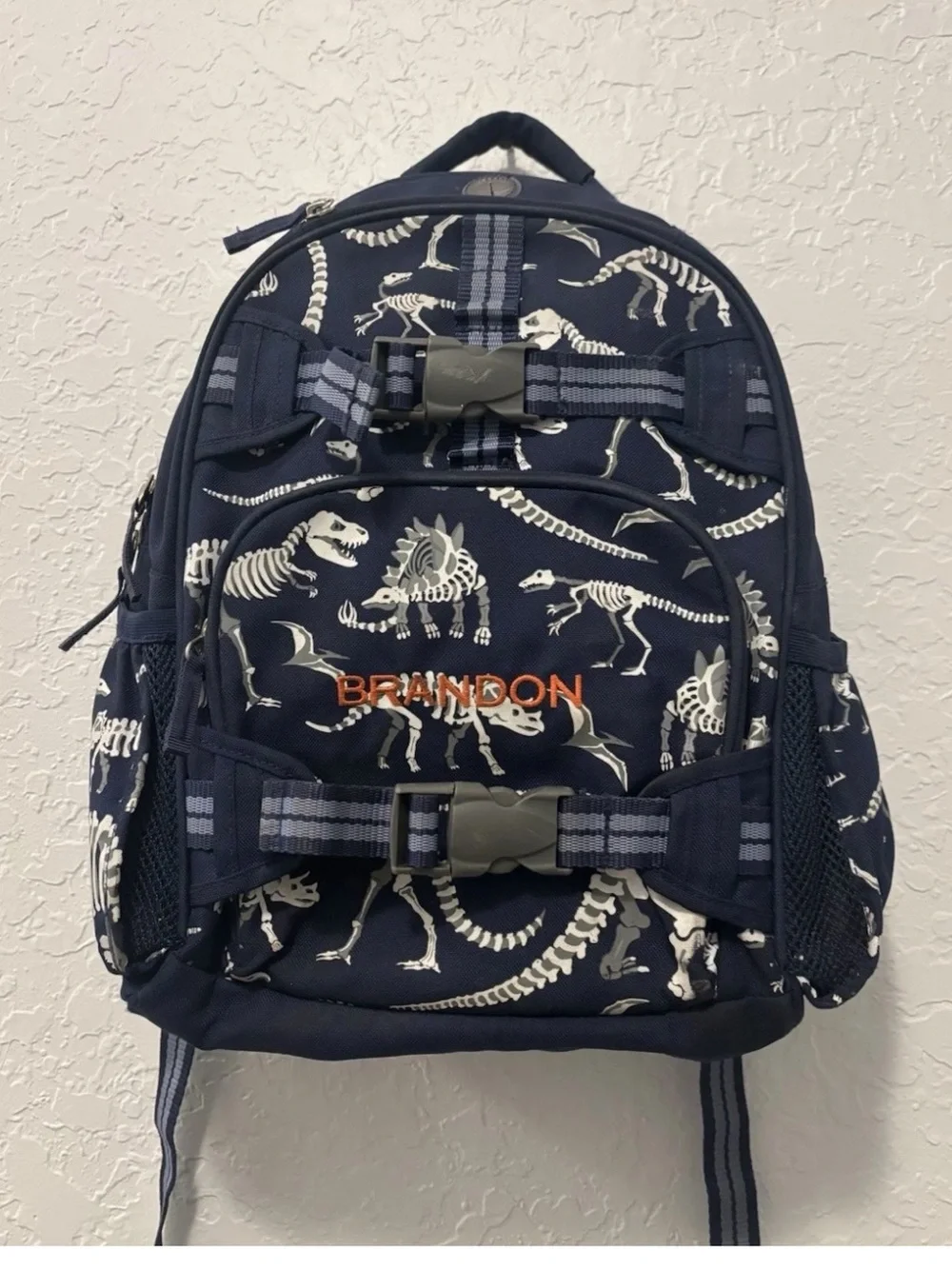 Pottery Barn boys backpack dinosaurs glow in the dark